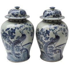 Pair of Chinese Blue and White Lidded Jars