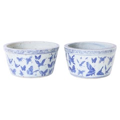 Paire de bols ou jardinières chinois en porcelaine bleue et blanche