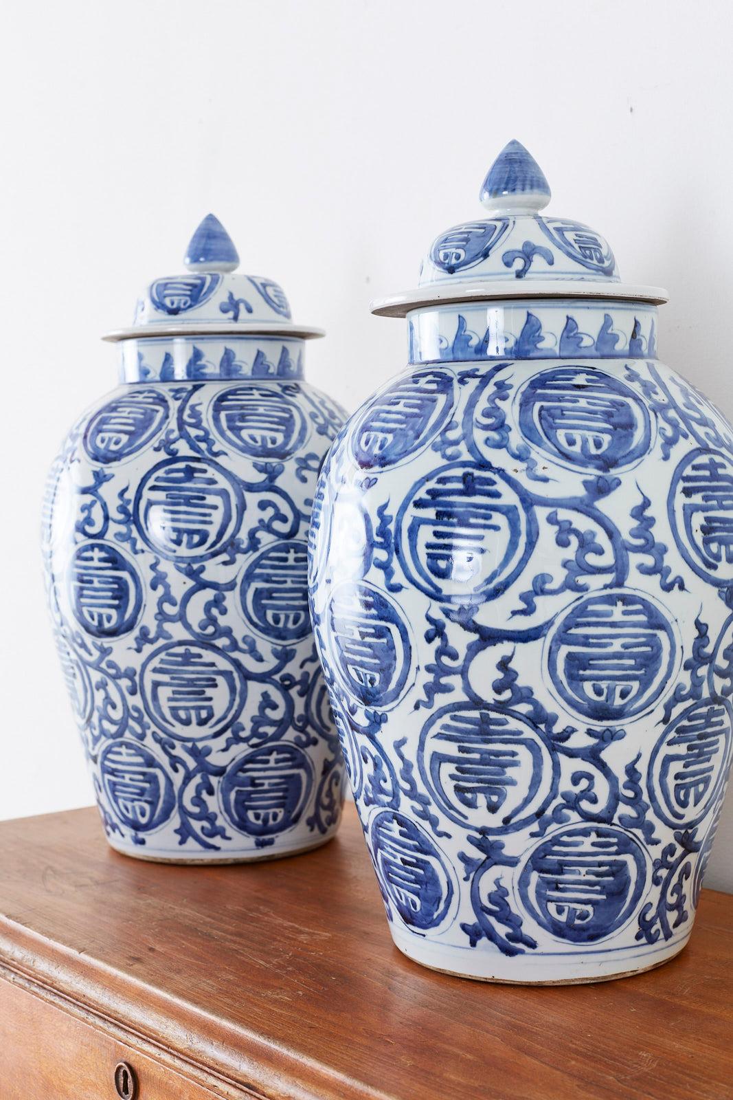 Pair of Chinese Blue and White Porcelain Ginger Jars 7