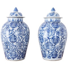 Pair of Chinese Blue and White Porcelain Ginger Jars