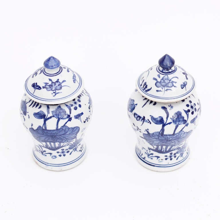 Delightful pair of small Chinese blue and white porcelain lidded ginger jars with classic Chinese Export manner form, hand decorated all around with poppies, flowers and birds.