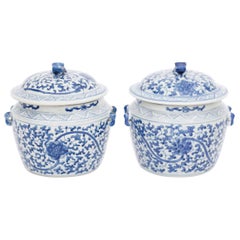 Pair of Chinese Blue and White Porcelain Lidded Jars