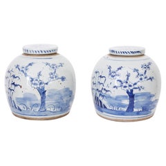 Pair of Chinese Blue and White Porcelain Lidded Jars