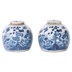Pair of Chinese Blue and White Porcelain Lidded Jars with Pheonix Birds