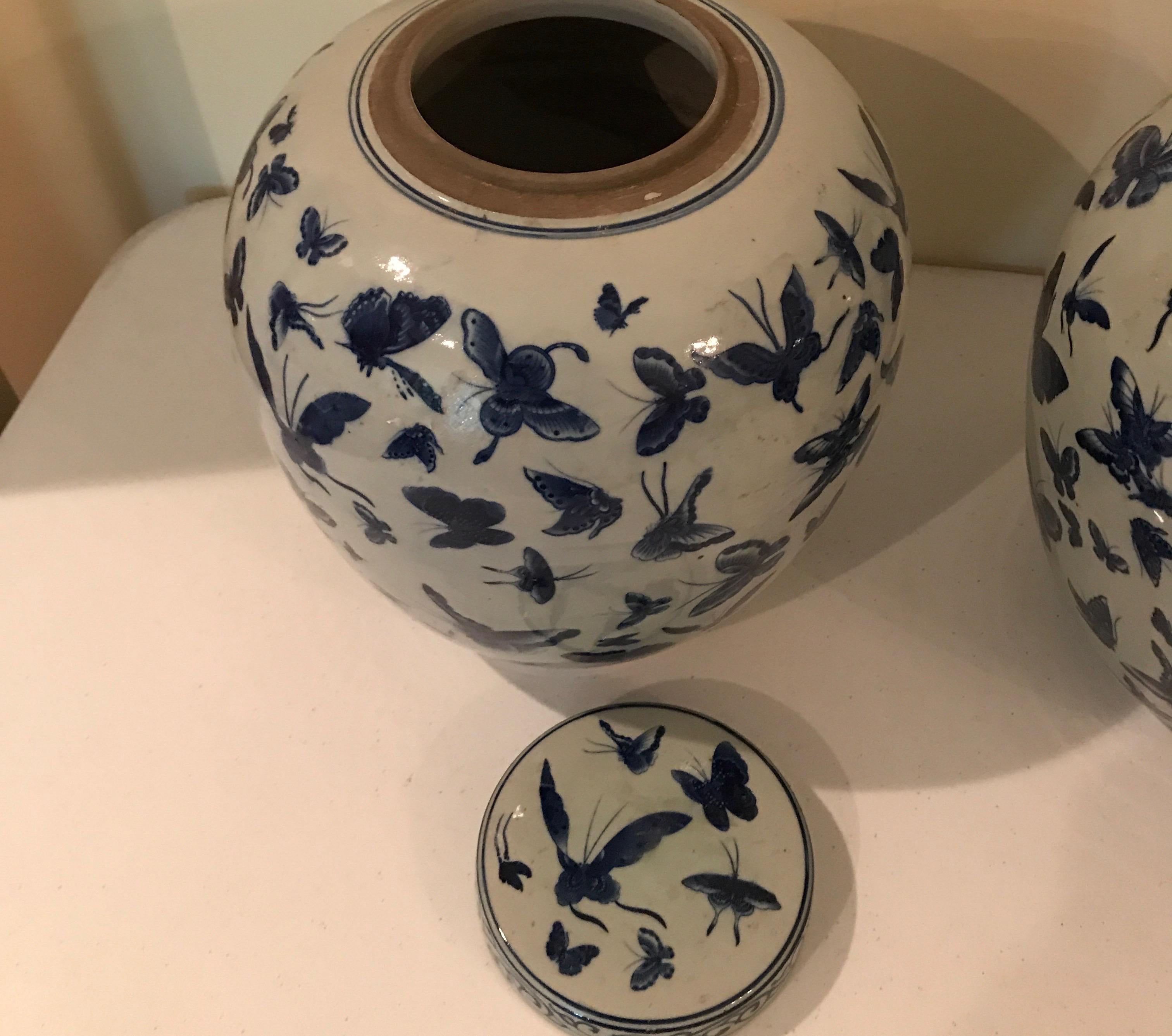 Pair of Chinese Blue and White Butterfly Ginger Jars 1
