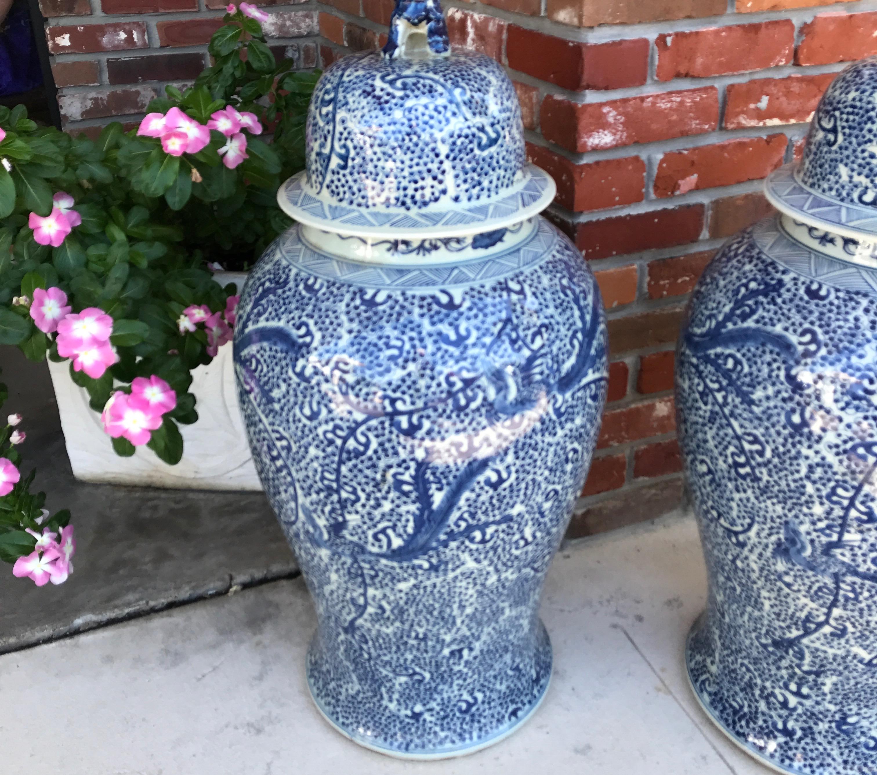 Large pair of blue and white Chinese ginger jars with foo dog topped lids.
