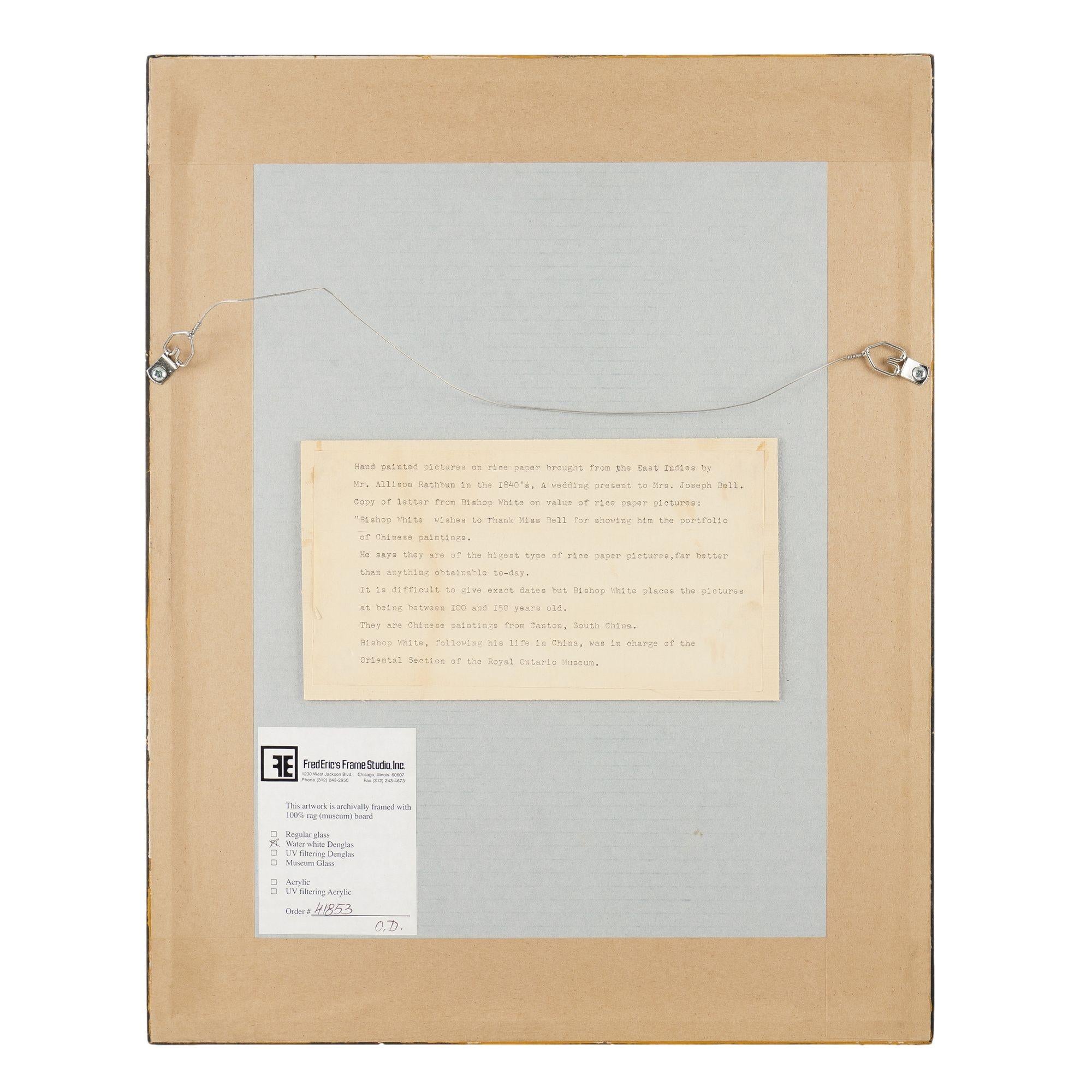 Carta Coppia di dipinti botanici cinesi di Sunqua, 1800-50 ca. in vendita