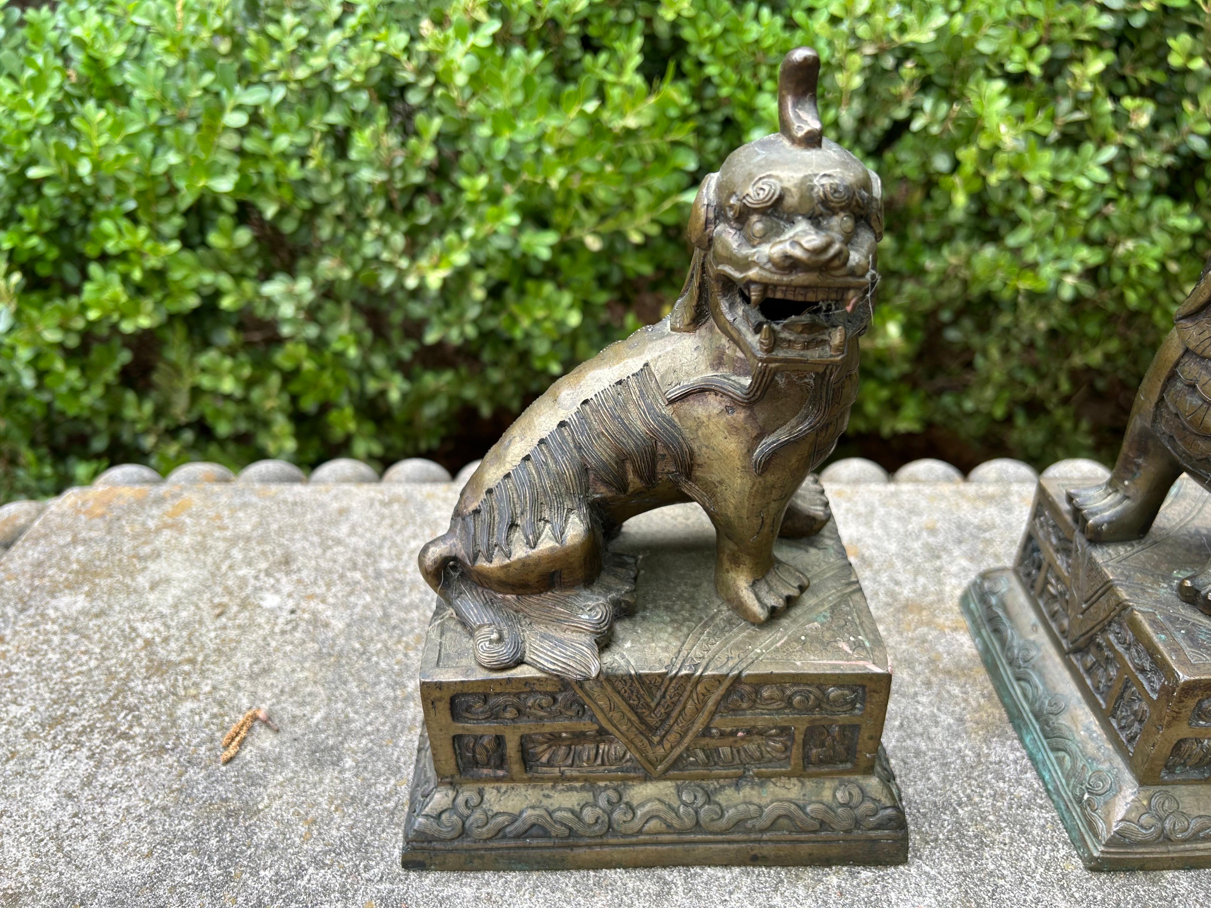 Pair Of Chinese Brass Foo Dogs For Sale 8