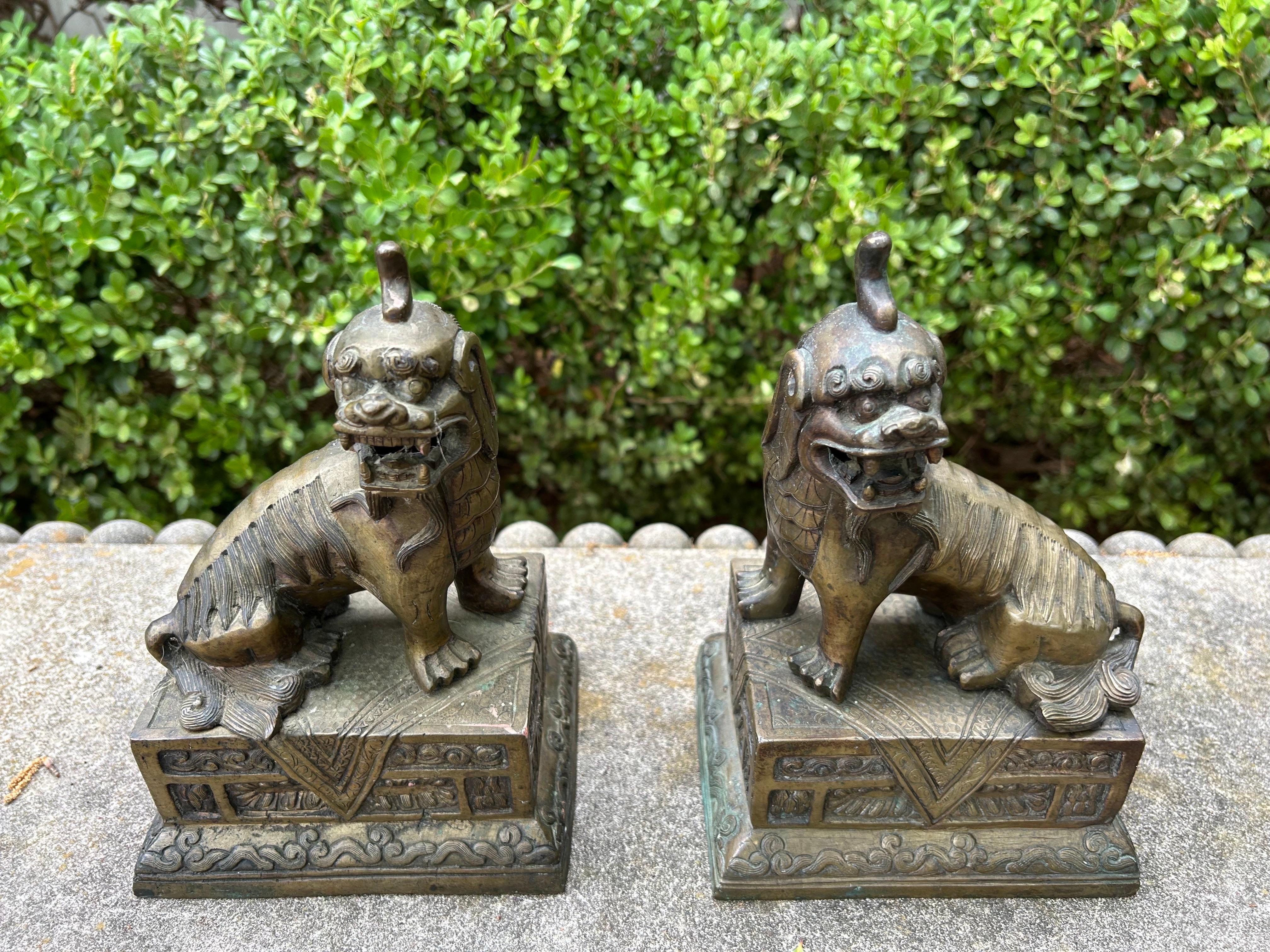 Chinese Export Pair Of Chinese Brass Foo Dogs For Sale
