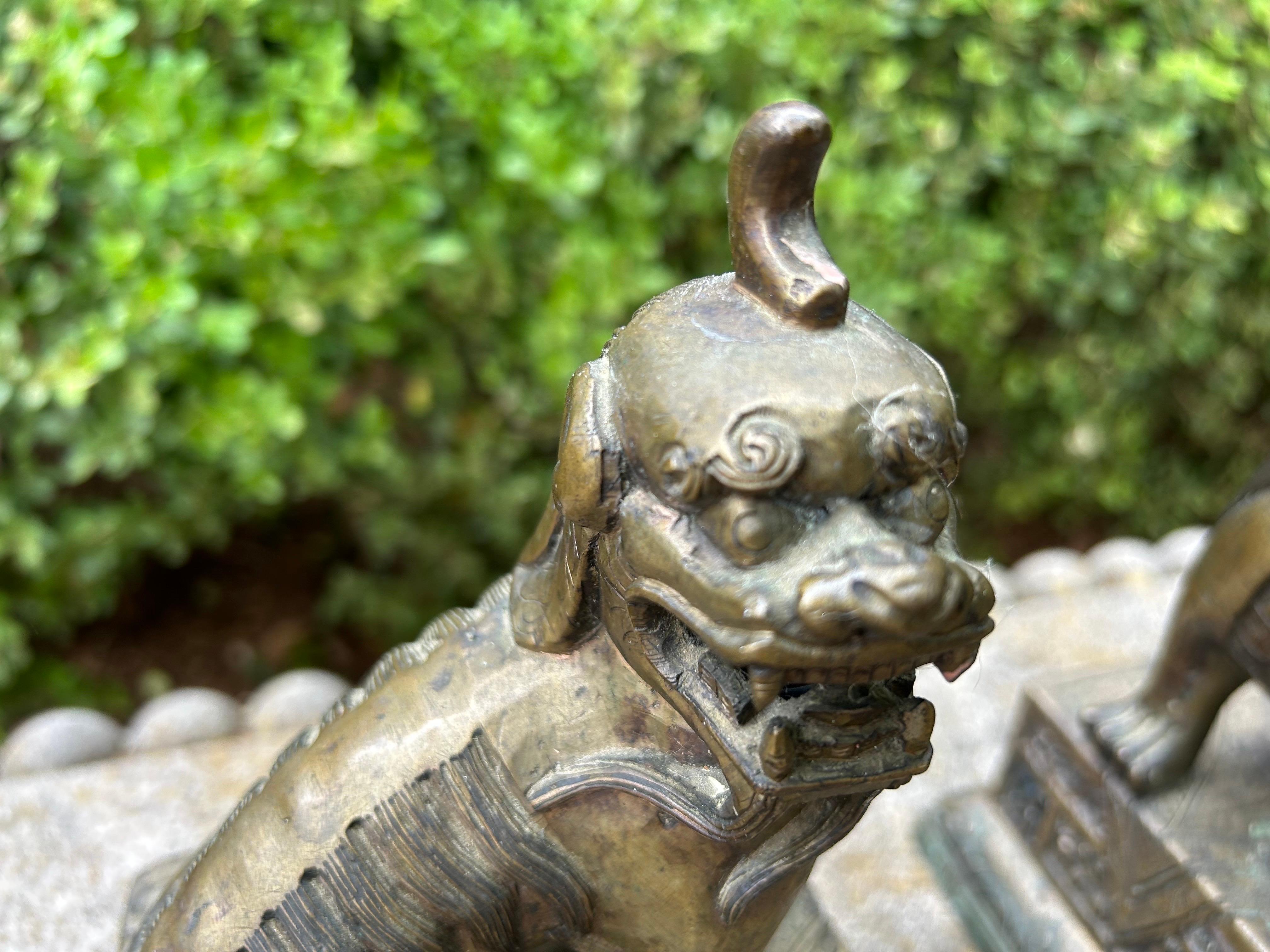 Pair Of Chinese Brass Foo Dogs For Sale 1