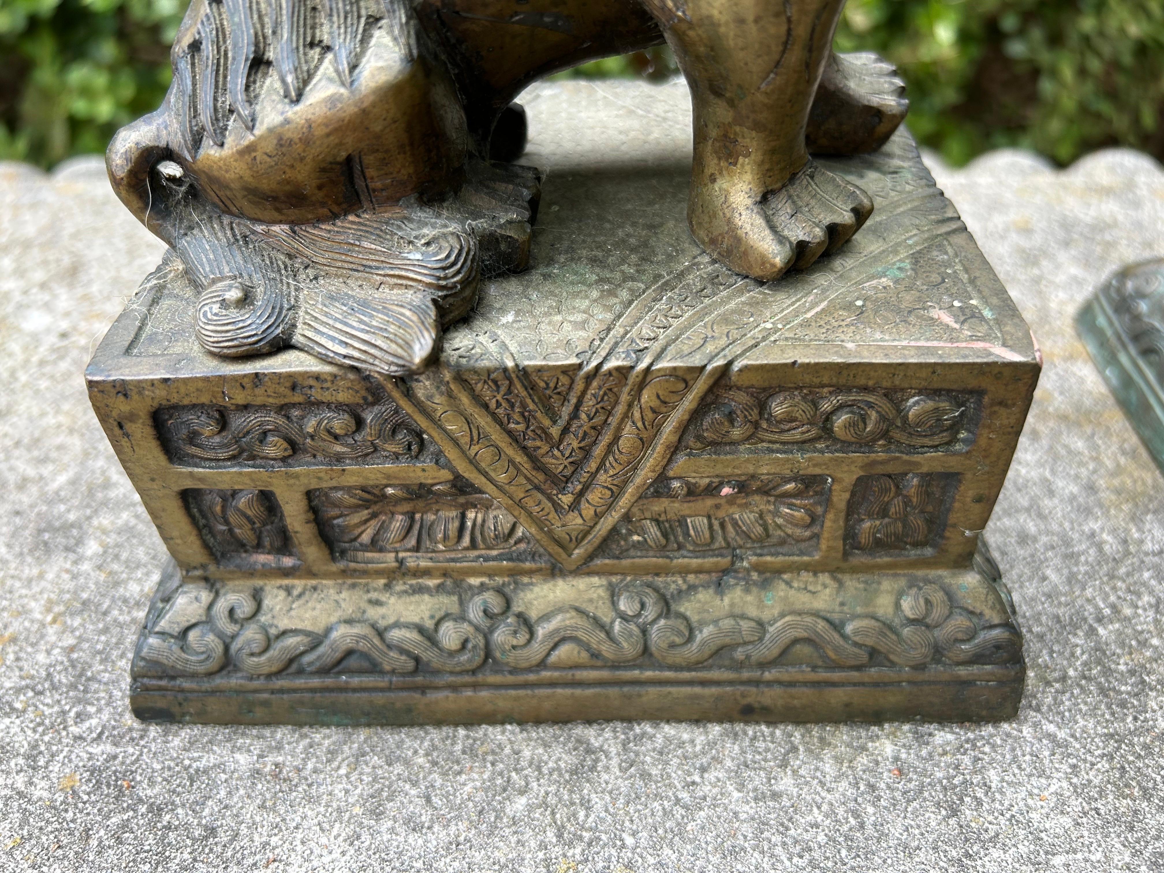 Pair Of Chinese Brass Foo Dogs For Sale 3