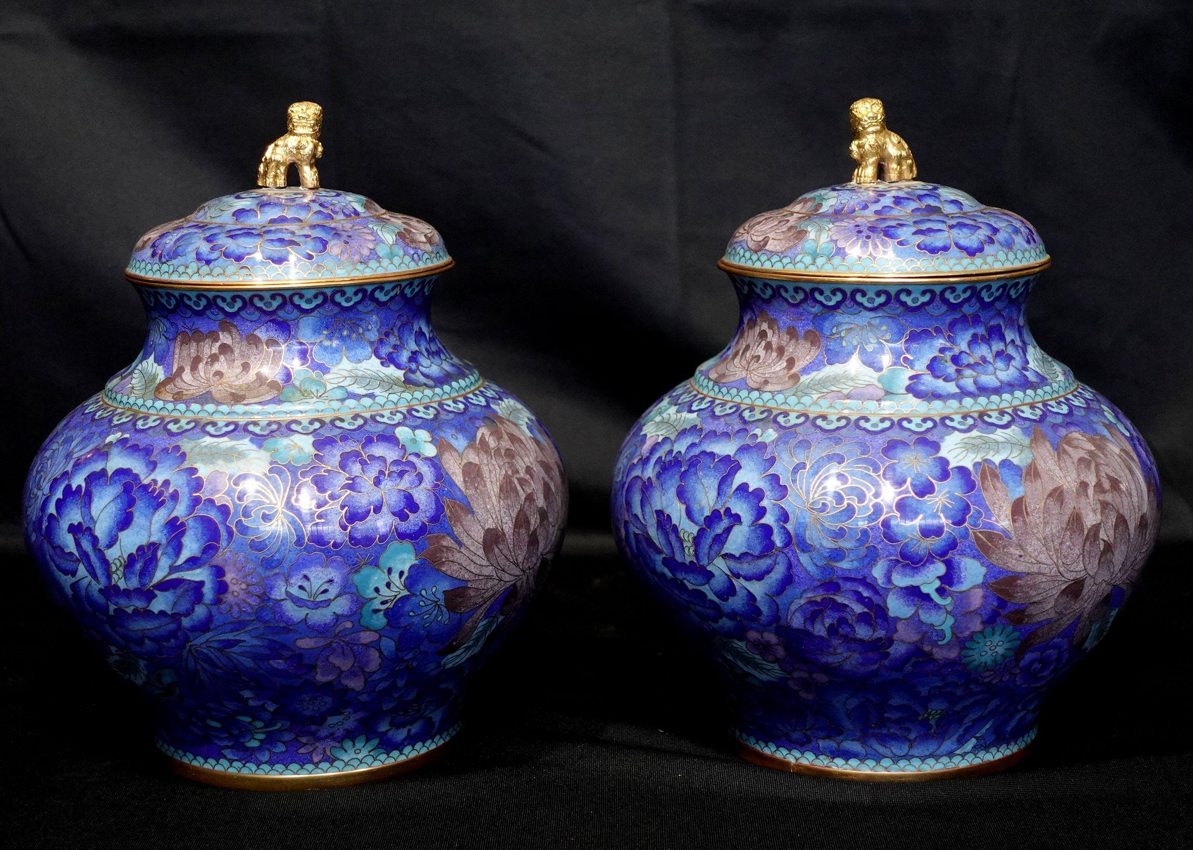 Un travail de qualité avec des détails étonnants est présenté sur cette paire de jarres à couvercle en bronze chinois cloisonné représentant une scène de fleurs sur un fond bleu avec des couleurs vives de bleu, rouge-brun, et des finales de lion en