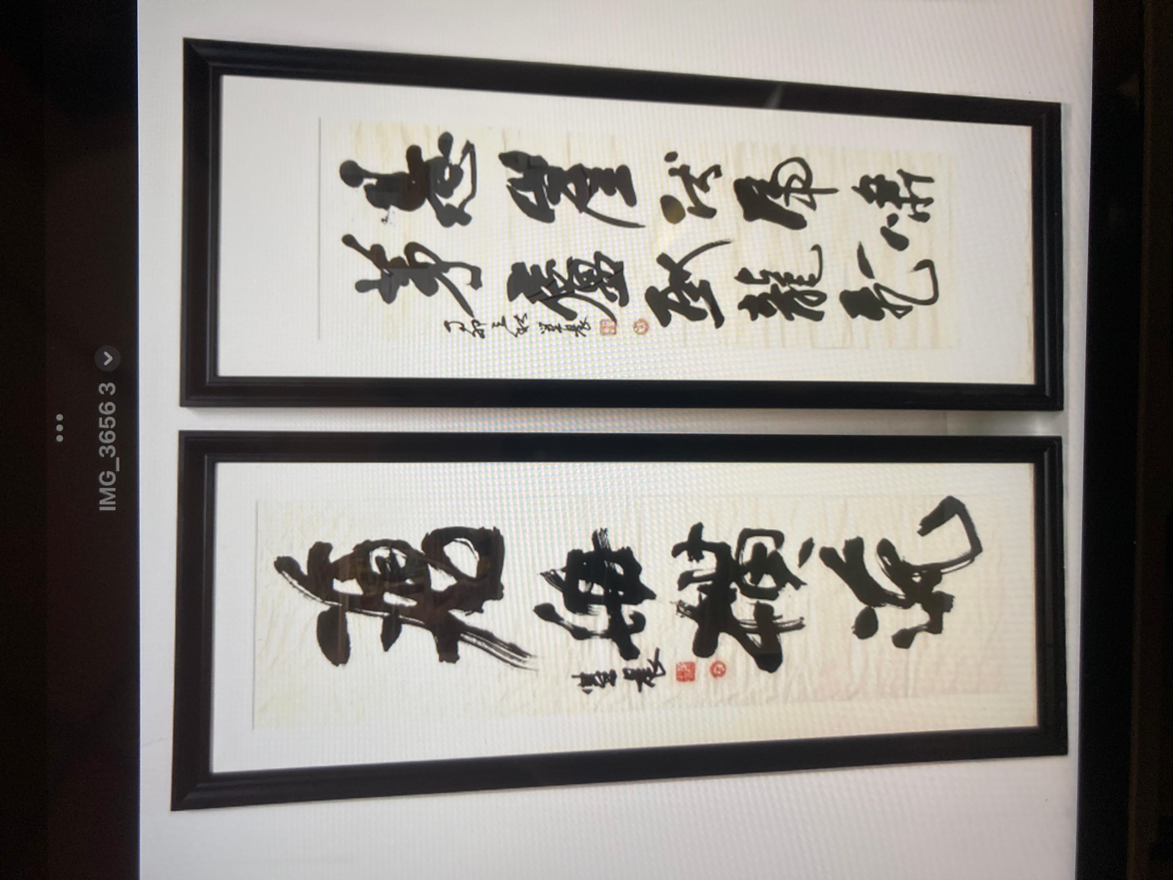 Pair of Chinese Calligraphy Scrolls in Mark Humphrey Gallery Frames For Sale 7