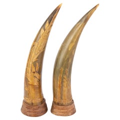 Pair of Chinese Carved Buffalo Horns with Dragons