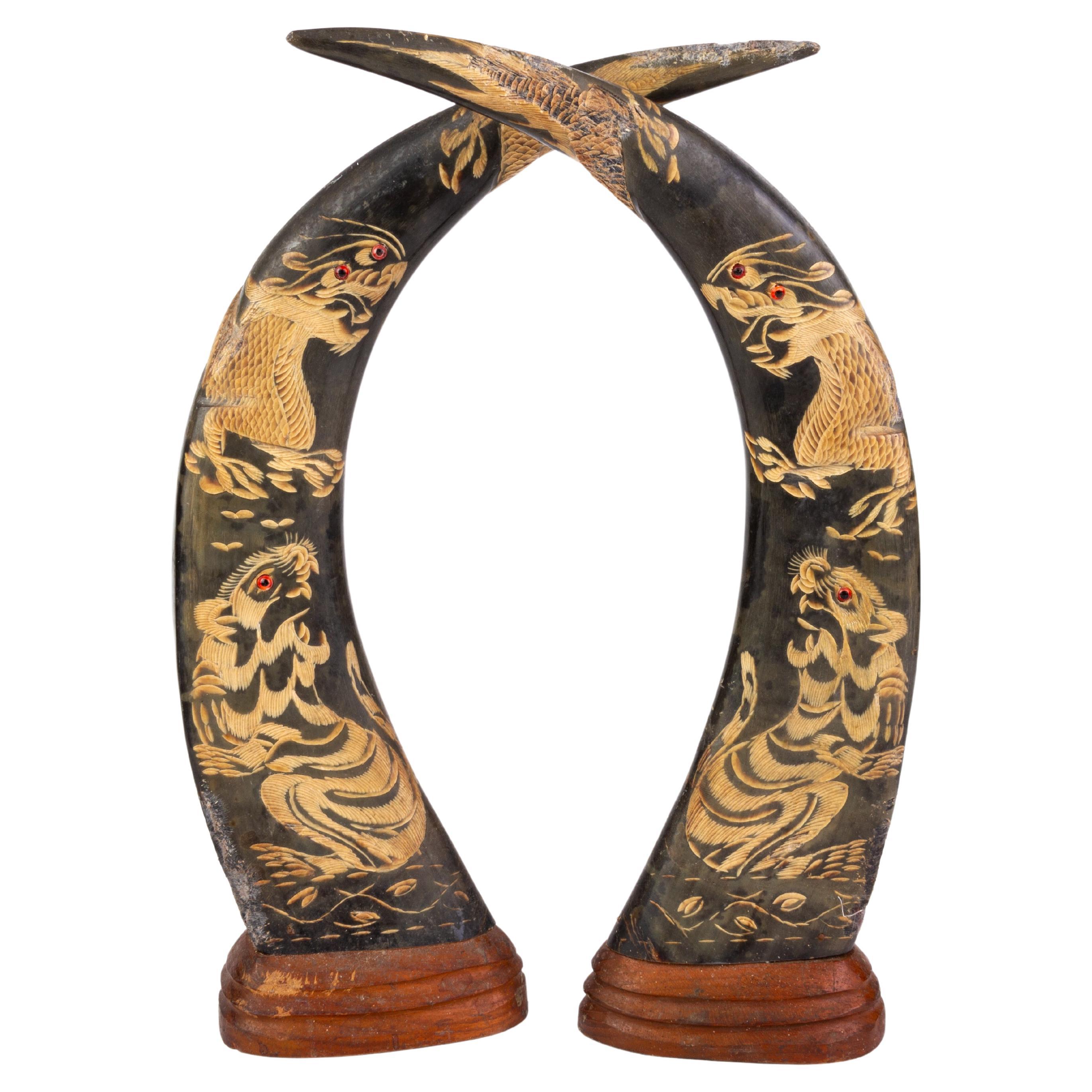 Pair of Chinese Carved Buffalo Horns with Dragons