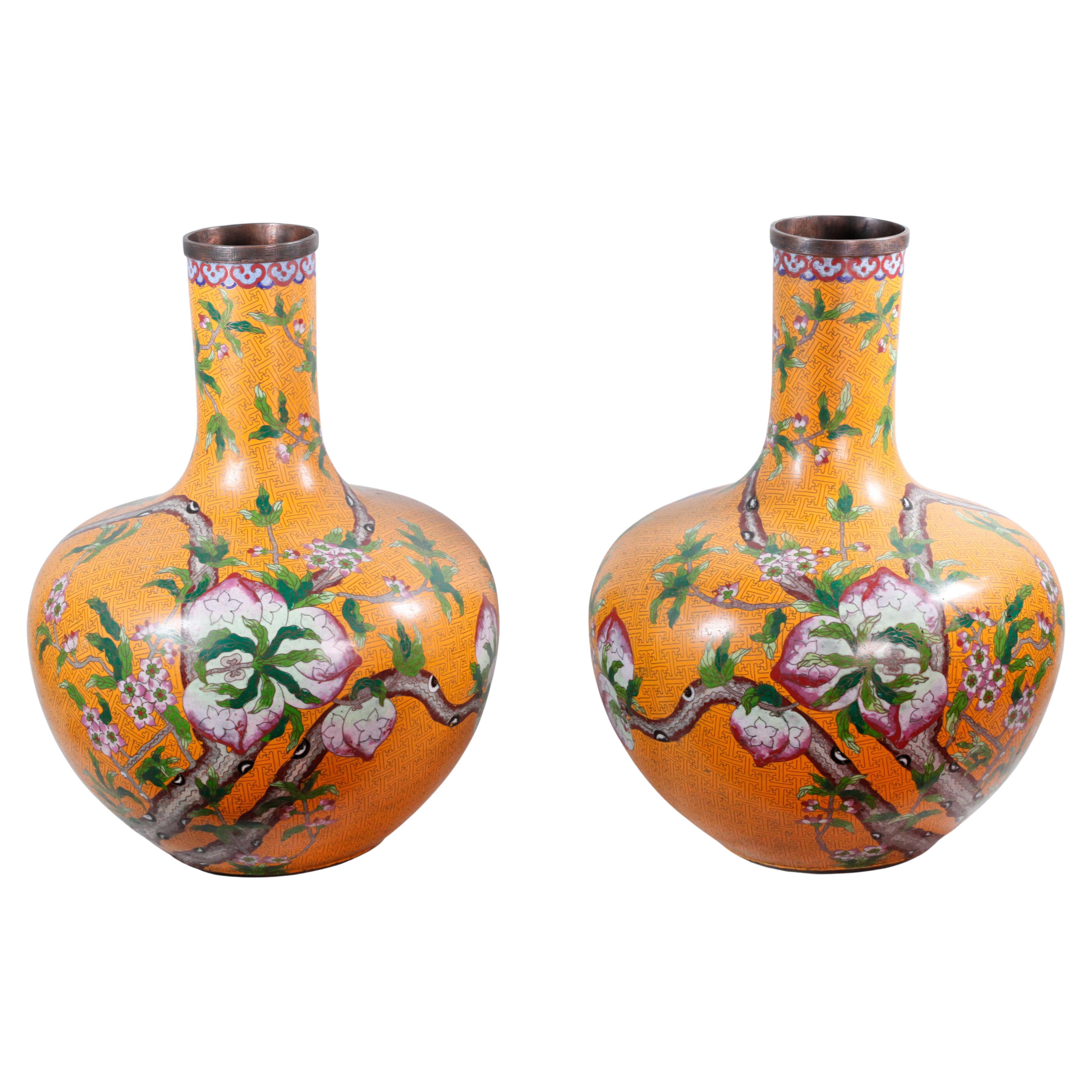 Pair of Chinese Cloisonné Bottle Vases
