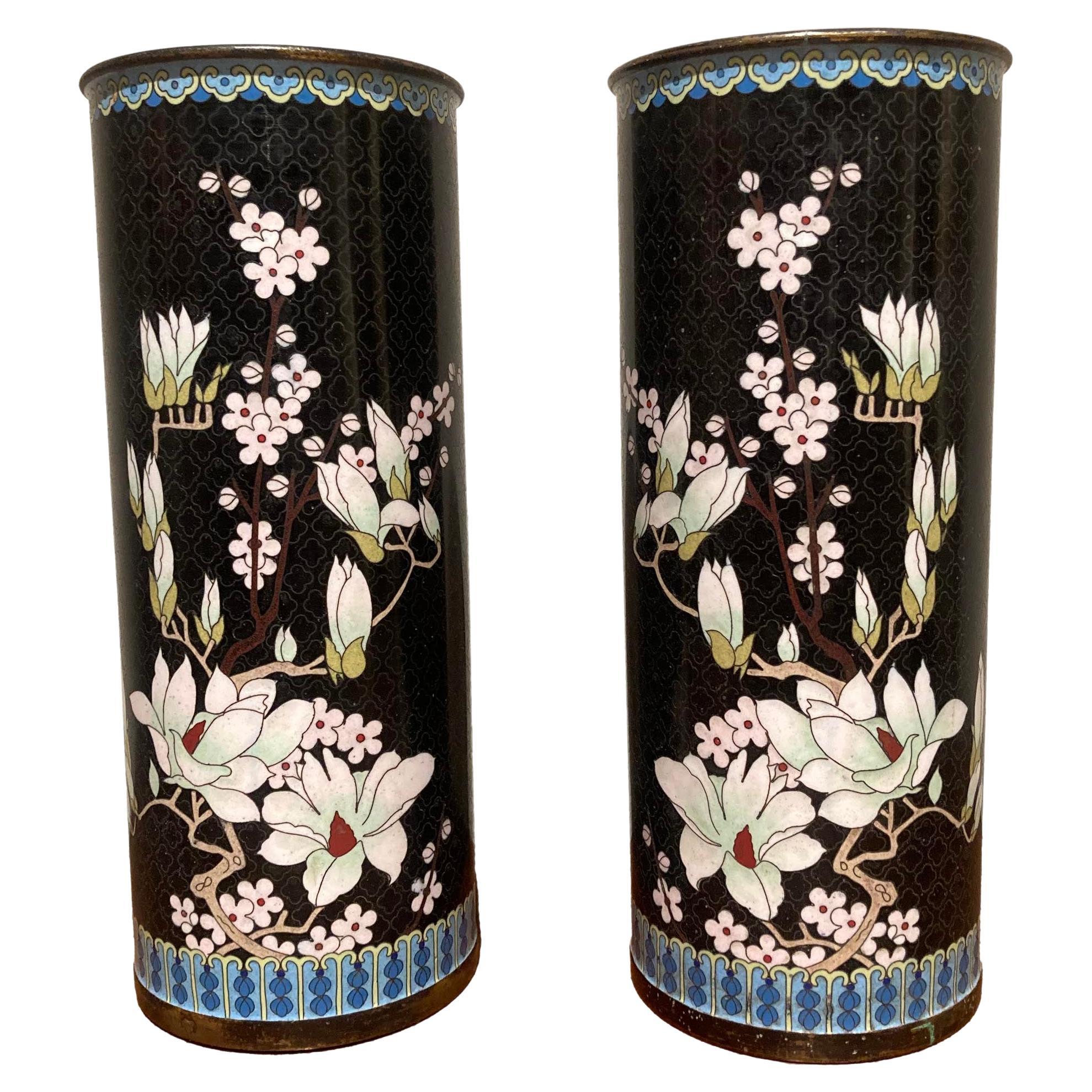 Pair of Chinese Cloisonné Vases For Sale