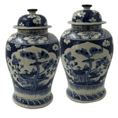 Pair of Chinese Export Blossom Ginger Jars
