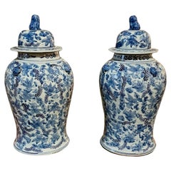 Pair of Chinese Export Blue and White Temple Jars