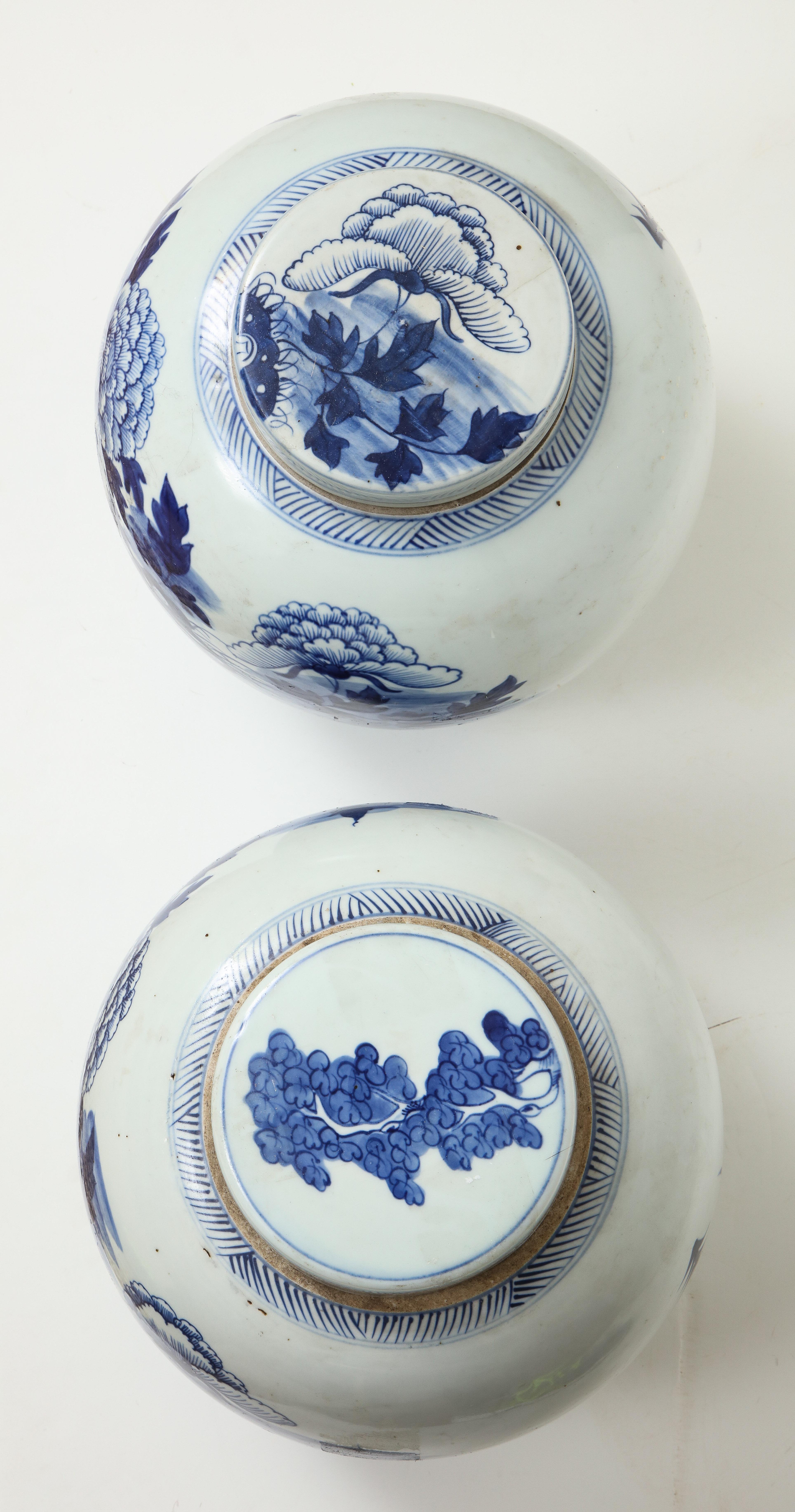 Pair of Chinese Export Ginger Jars 12