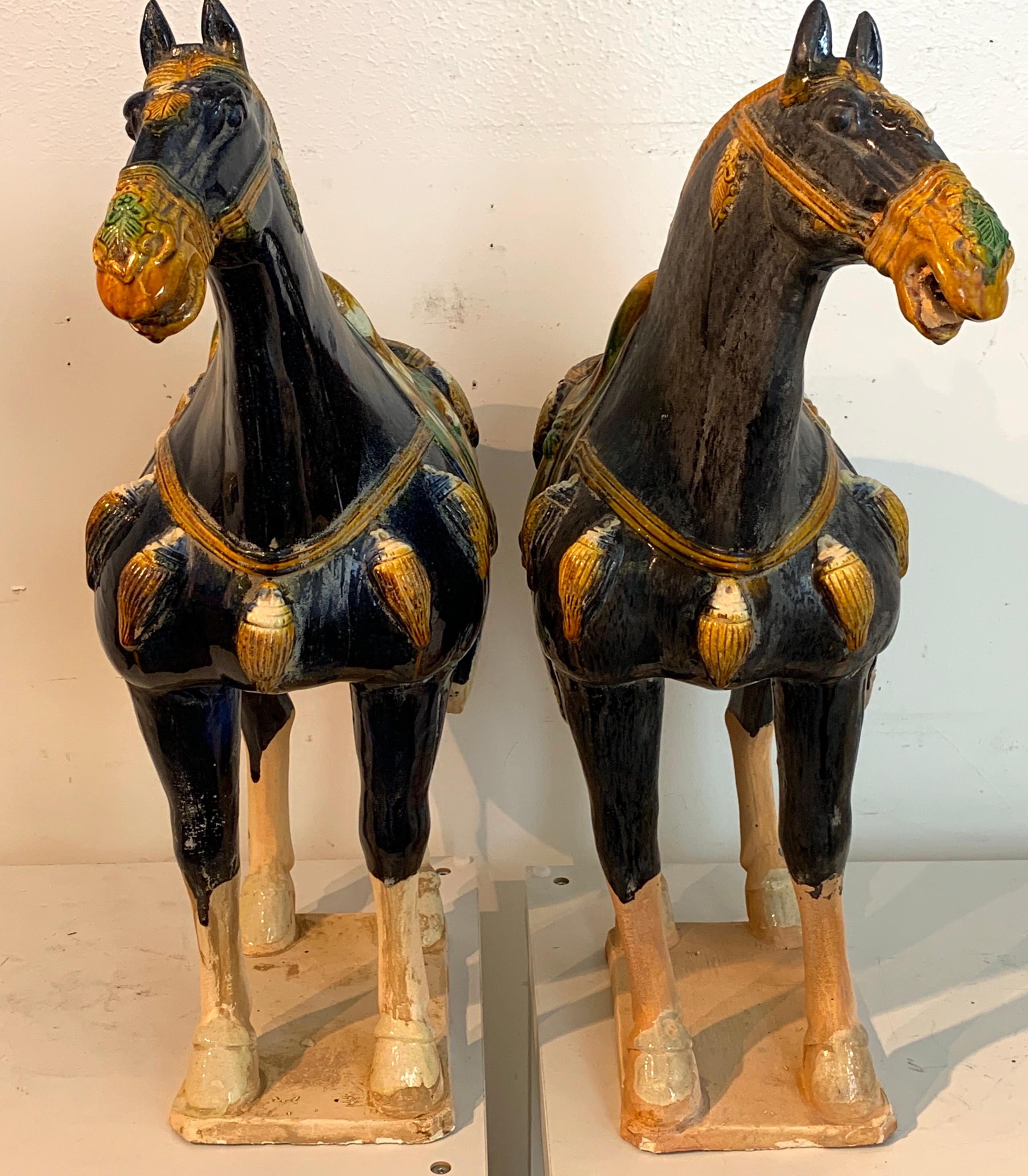 Pair of Chinese Export Large Pottery Blue Sancai Glazed Tang Style Horses 1