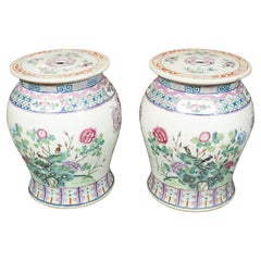 Pareja De Asientos De Jardín De Porcelana China De Exportación