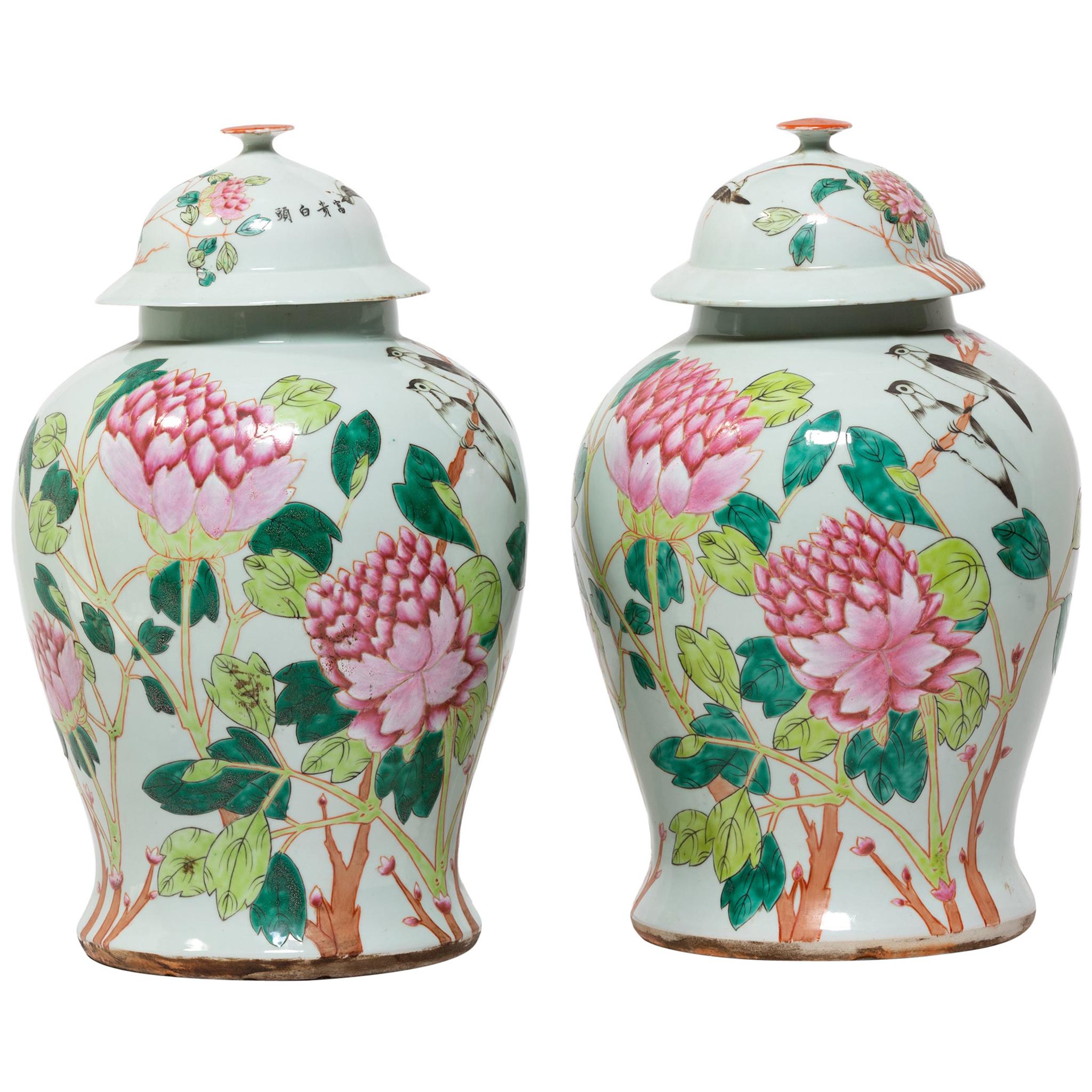 Pair of Chinese Famille Rose Peony Ginger Jars