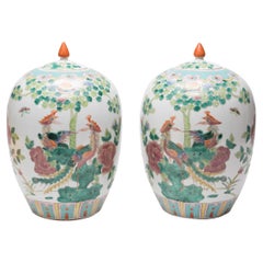 Paar chinesische JARs mit Phoenix und Pfingstrosen in Famille Rose, um 1900