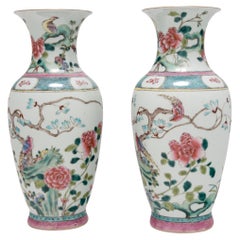Pair of Chinese Famille Rose Phoenix Tail Vases, circa 1850