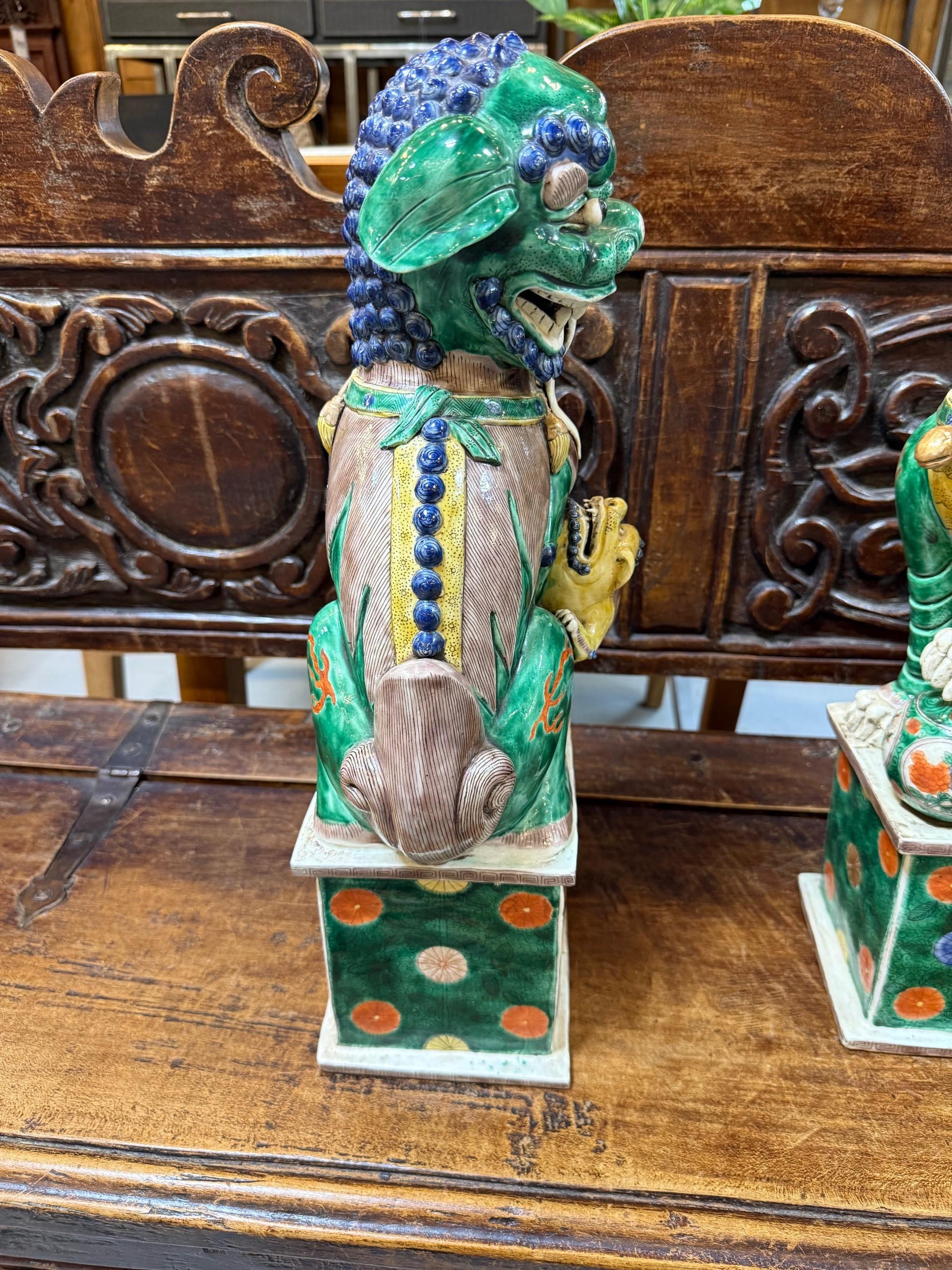 Paire de lions bouddhistes chinois Famille Verte masculins et féminins en vente 6