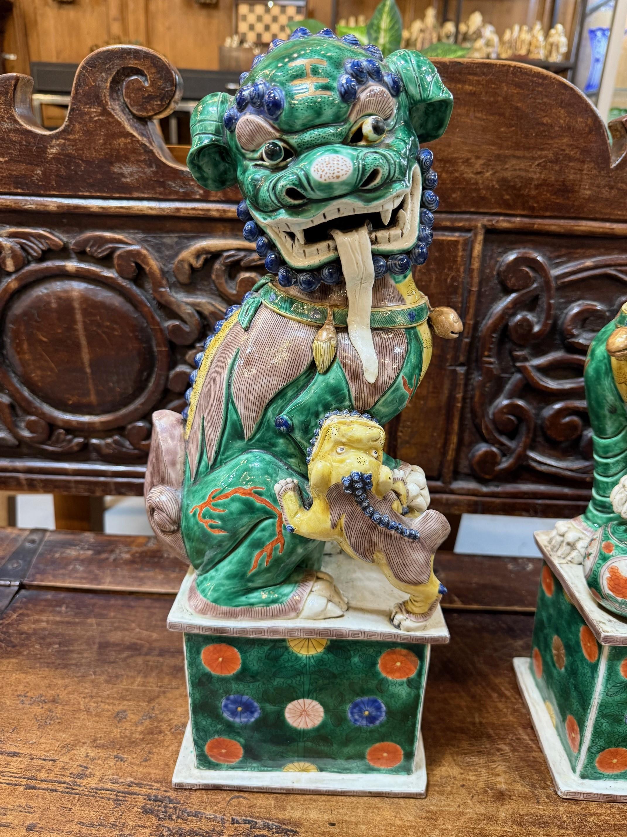Paire de lions bouddhistes m�âles et femelles de la famille verte chinoise, dans le style de la période Kangxi (1661-1722). Chacun d'eux est posé sur un socle, l'un d'eux ayant la tête de côté et la mâchoire ouverte, il tient un petit ourson. L'autre