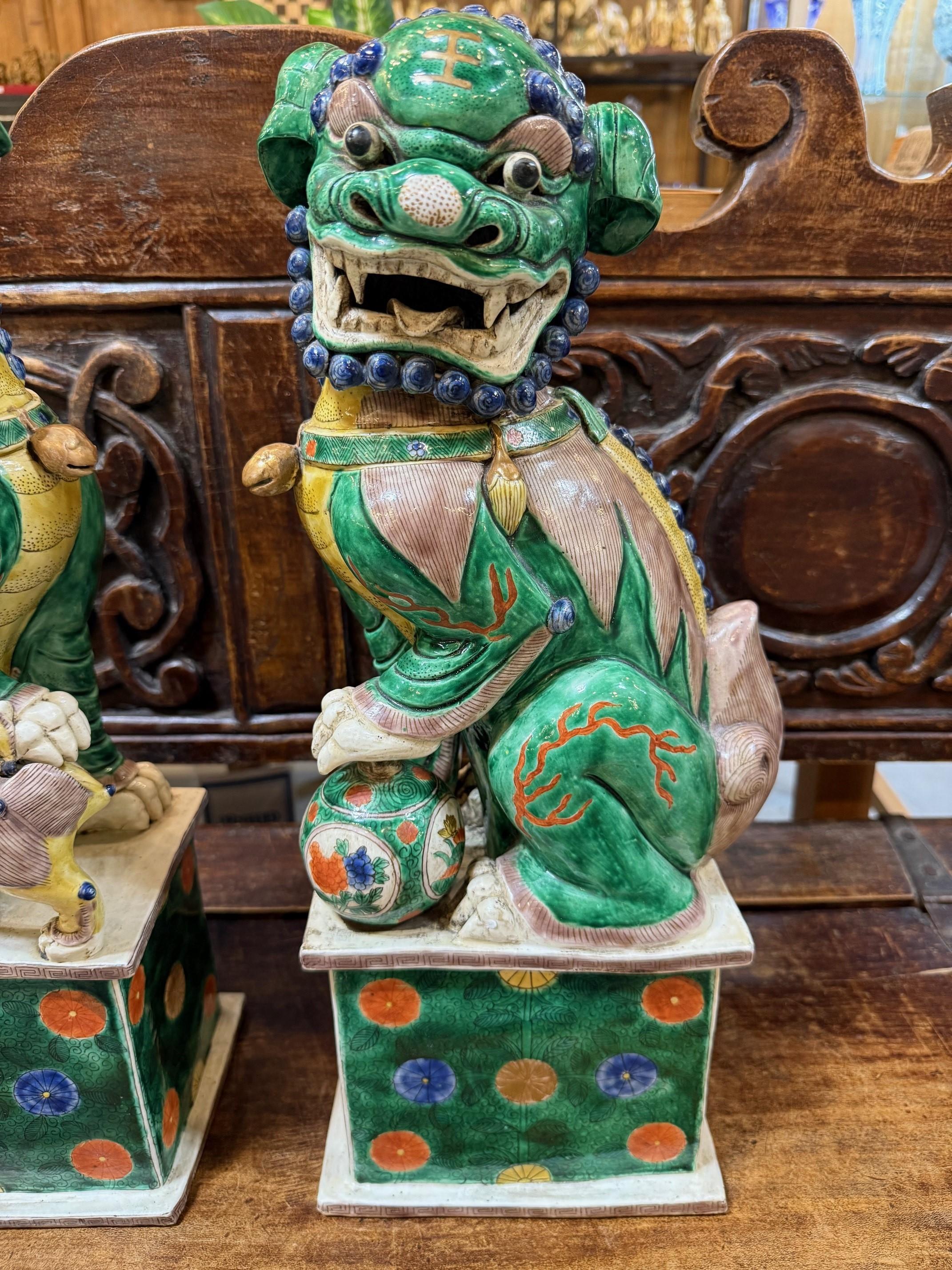 Chinois Paire de lions bouddhistes chinois Famille Verte masculins et féminins en vente