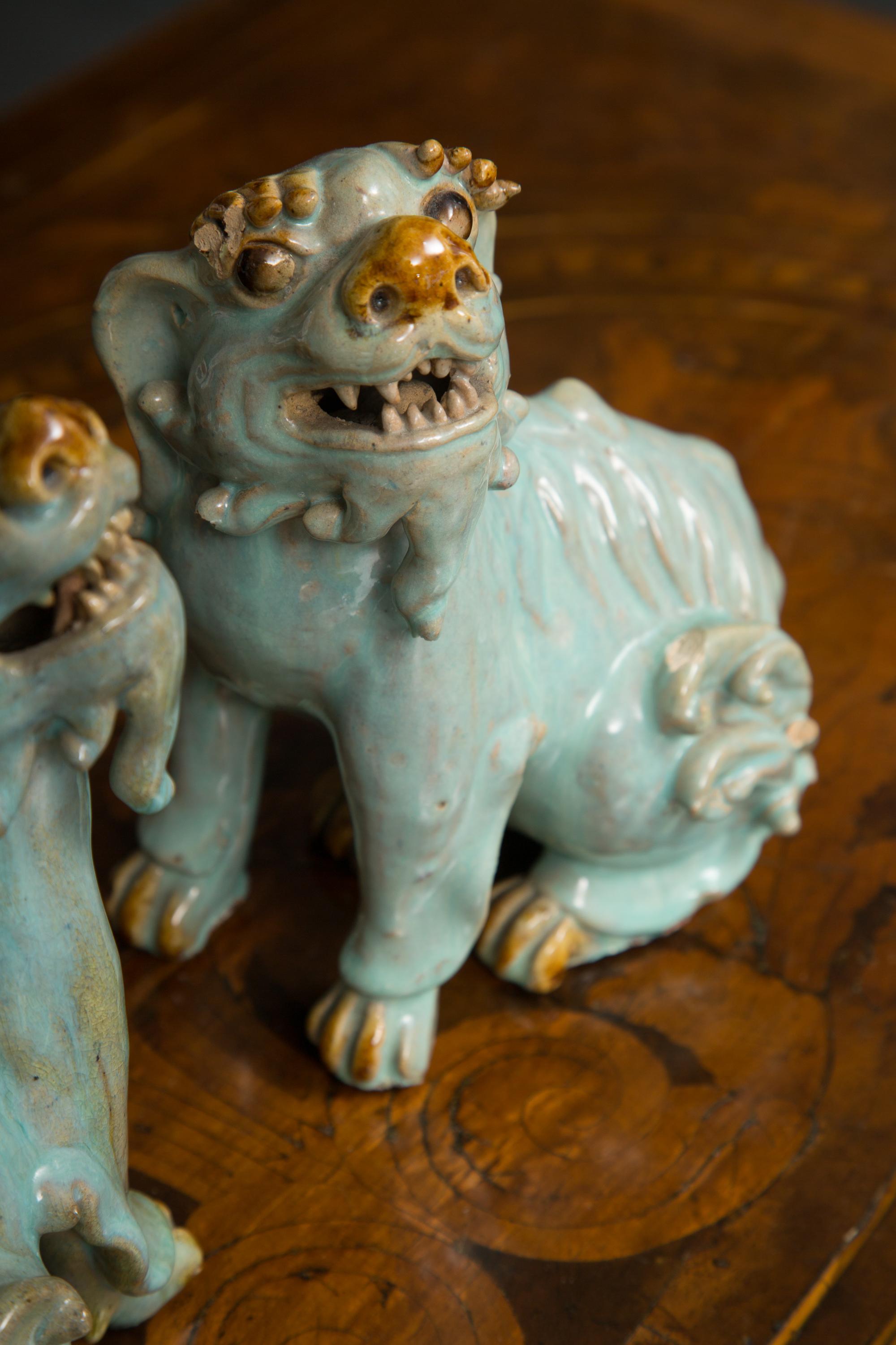 Pair of Chinese Glazed Bearded Dogs with Glass Inset Eyes 2