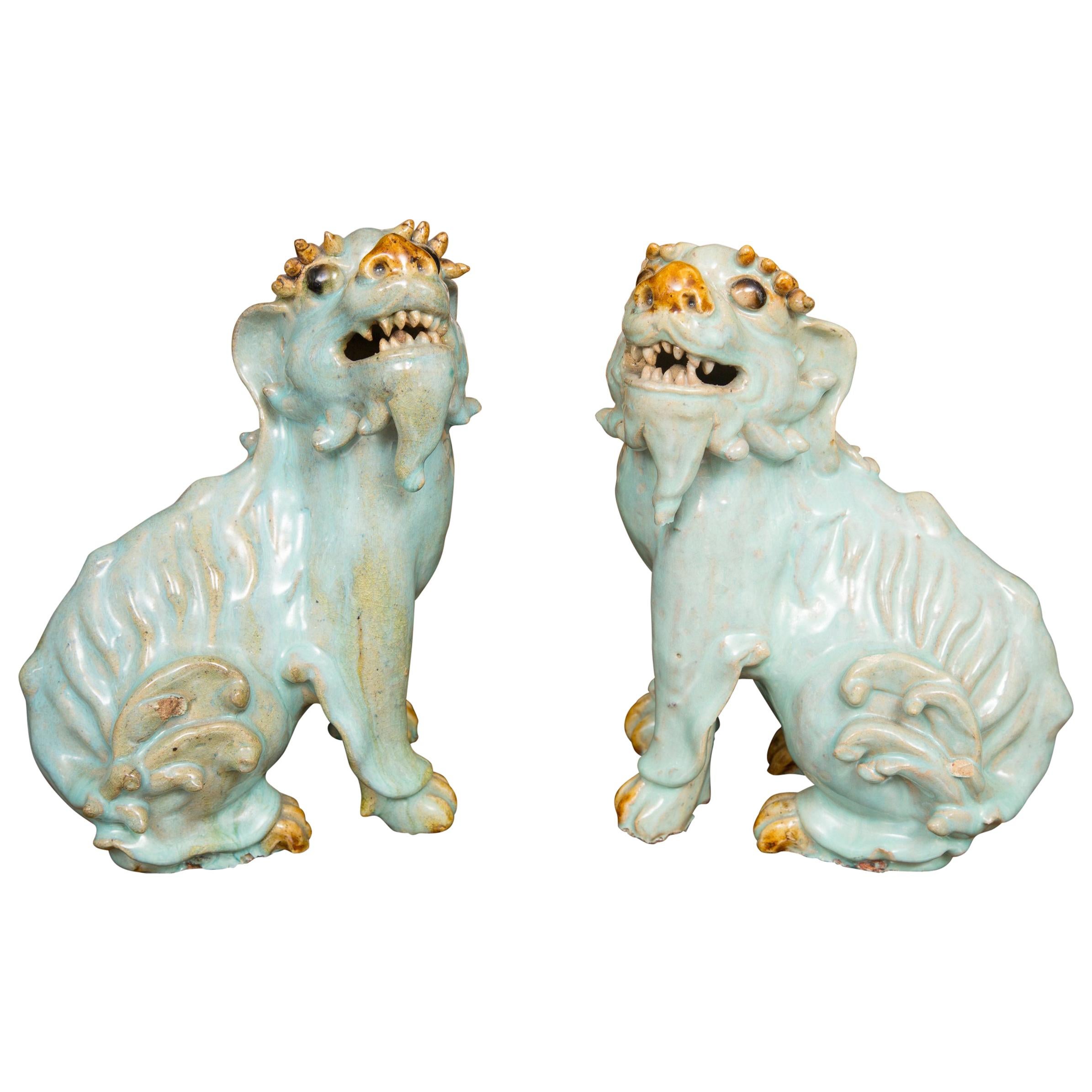 Pair of Chinese Glazed Bearded Dogs with Glass Inset Eyes