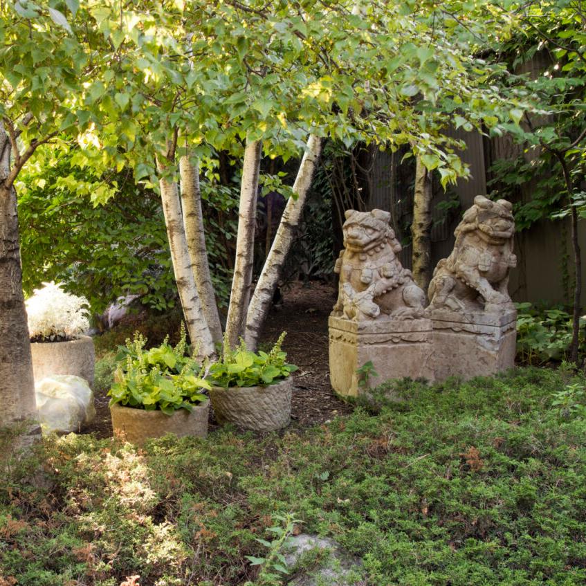 Questa coppia di monumentali leoni di Fu, noti anche come shizi, un tempo fiancheggiava l'ingresso di una casa della dinastia Qing nella provincia cinese dello Shanxi. Uno ha una perla sotto il piede e l'altro ha un cucciolo di leone. Si credeva che