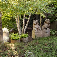 Pair of Chinese Guardian Lion Dogs, c. 1850