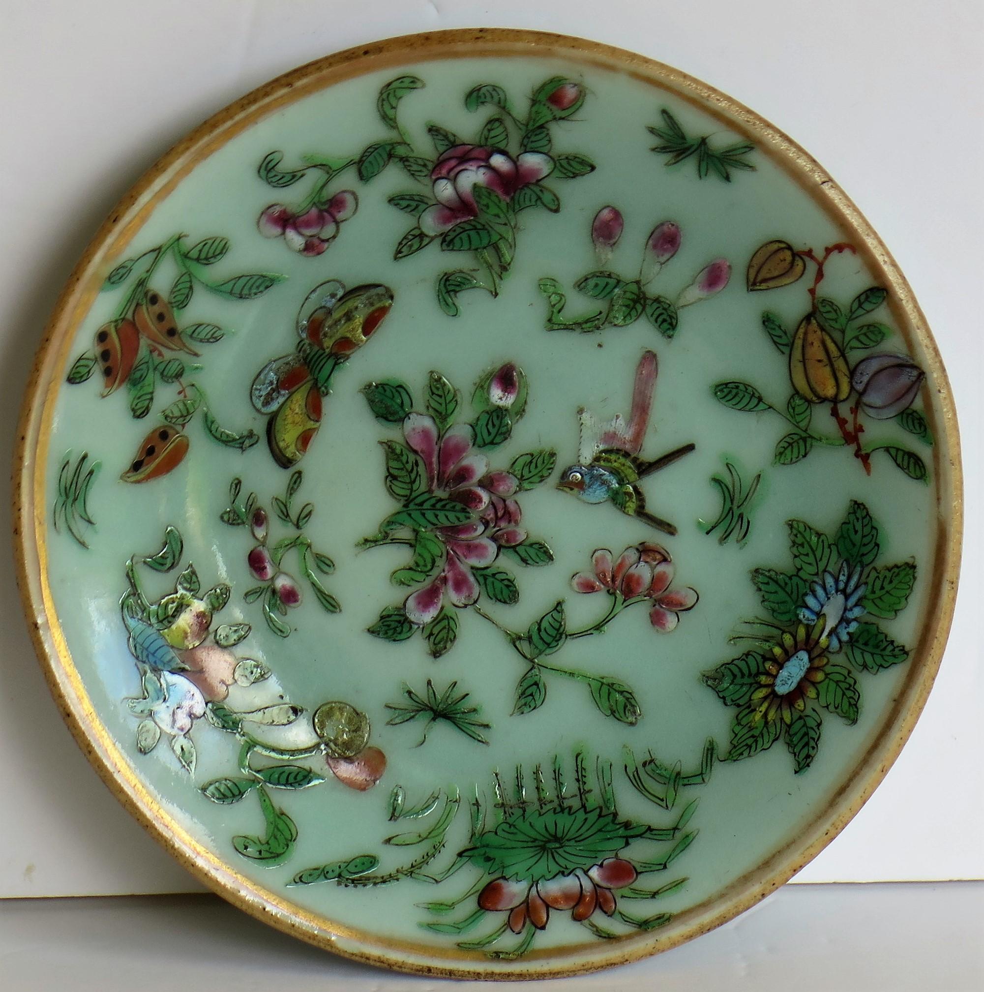 Pair of Chinese Plates Porcelain Celadon Glaze Famille Rose, Early 19th Century 4