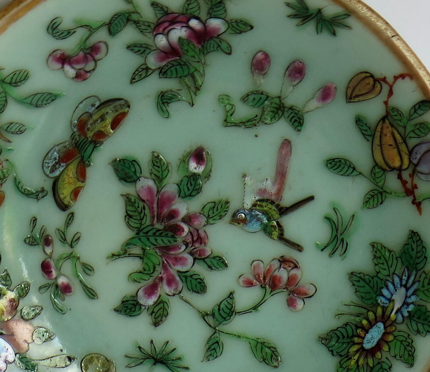 Pair of Chinese Plates Porcelain Celadon Glaze Famille Rose, Early 19th Century 5