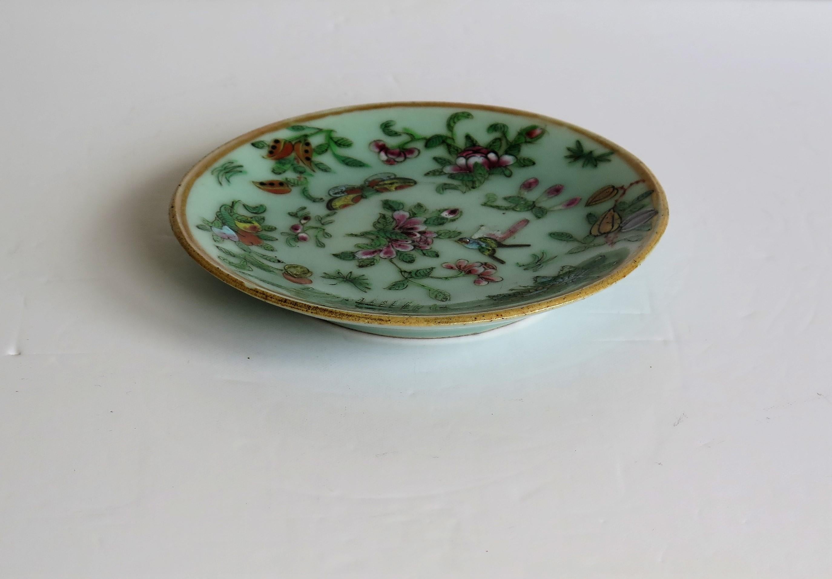 Pair of Chinese Plates Porcelain Celadon Glaze Famille Rose, Early 19th Century 7