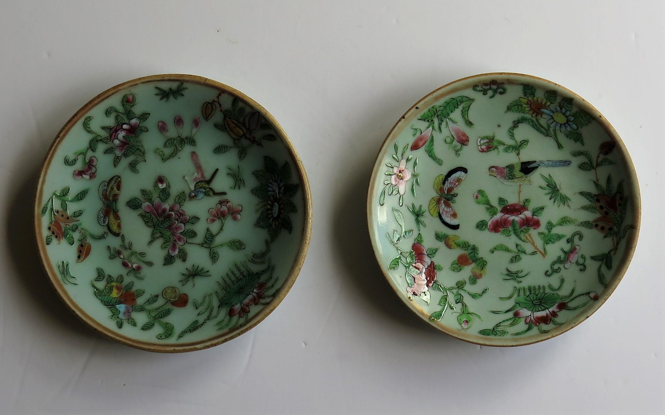 Pair of Chinese Plates Porcelain Celadon Glaze Famille Rose, Early 19th Century 9
