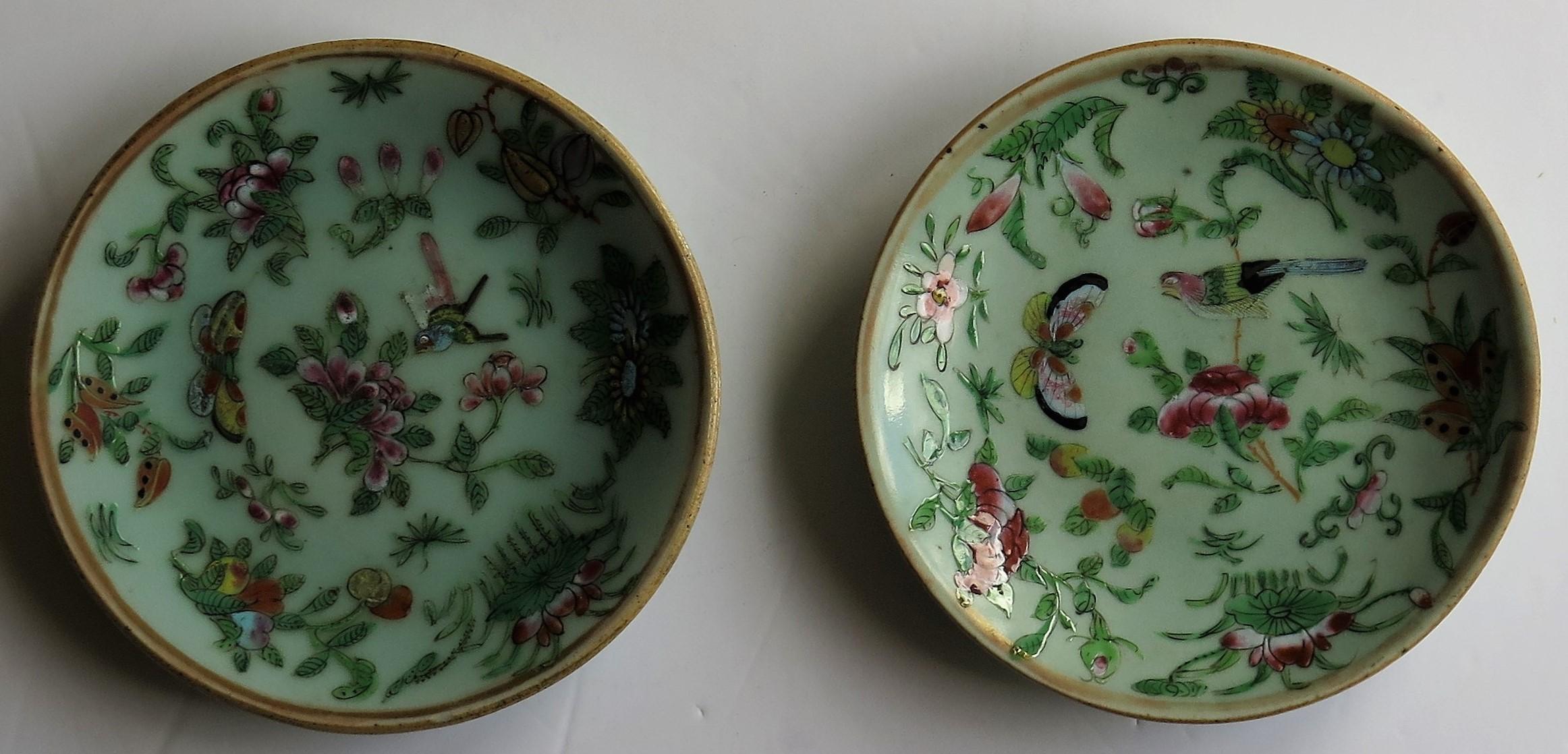 Pair of Chinese Plates Porcelain Celadon Glaze Famille Rose, Early 19th Century 10