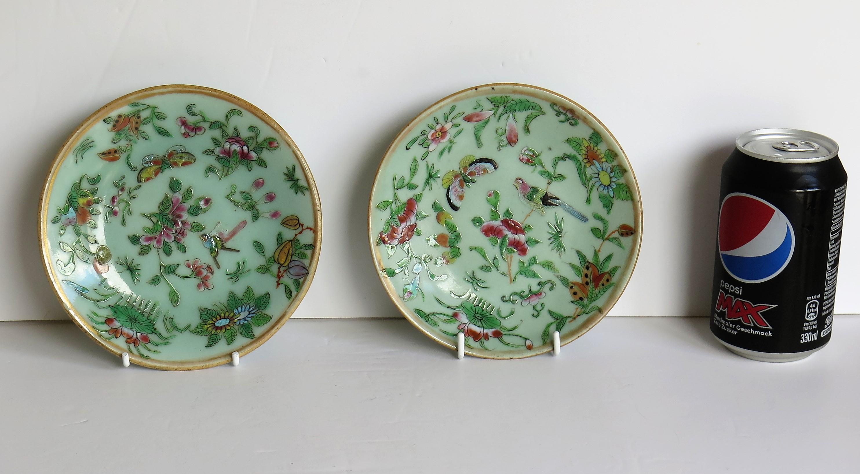 Pair of Chinese Plates Porcelain Celadon Glaze Famille Rose, Early 19th Century 13