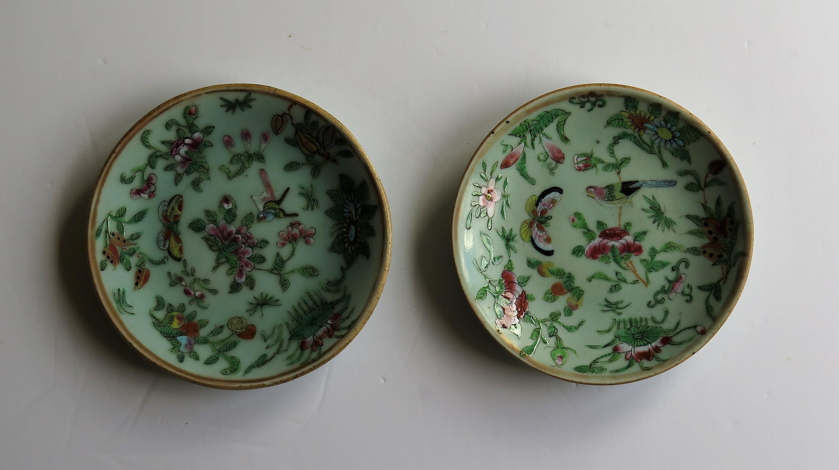 This is a very good pair of porcelain Chinese Export, (Canton) small plates or dishes with a celadon glaze, hand painted in the Famille rose palette, which we date to the early 19th century, circa 1820 of the Qing dynasty.

Both plates have a