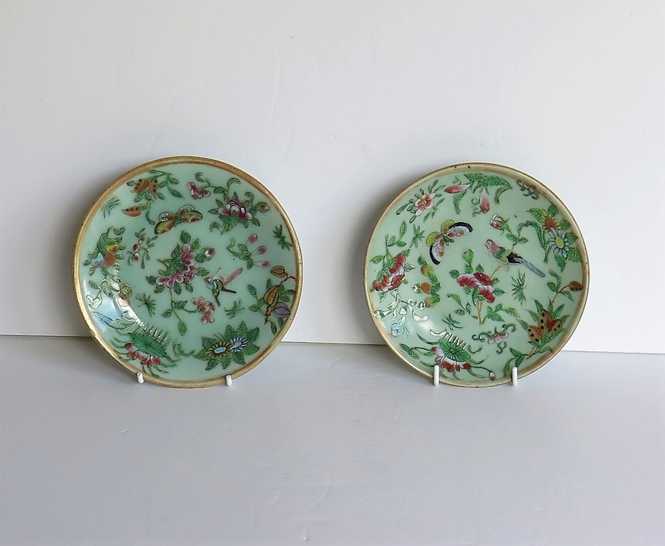 rose china plates