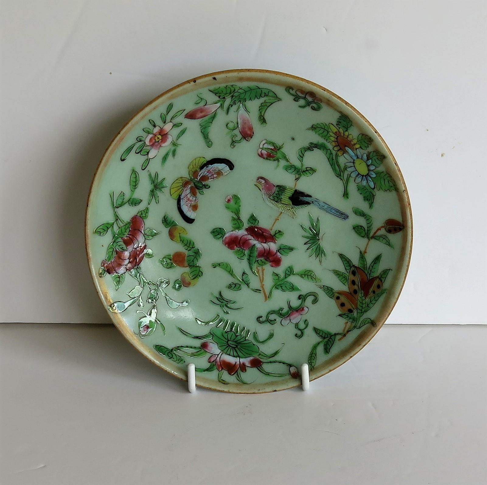 Chinese Export Pair of Chinese Plates Porcelain Celadon Glaze Famille Rose, Early 19th Century