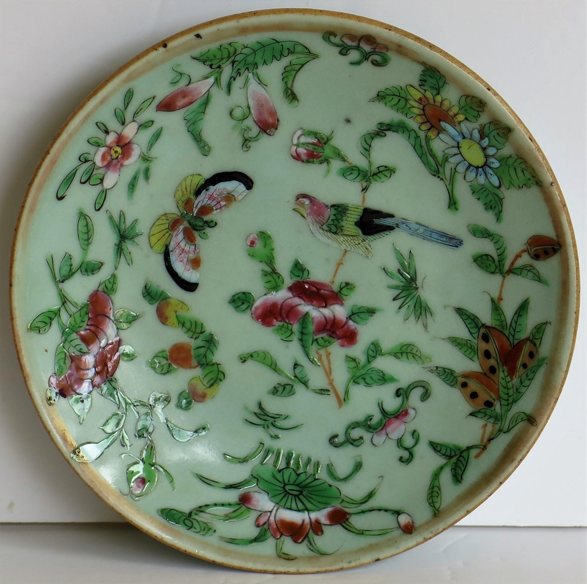 Hand-Painted Pair of Chinese Plates Porcelain Celadon Glaze Famille Rose, Early 19th Century