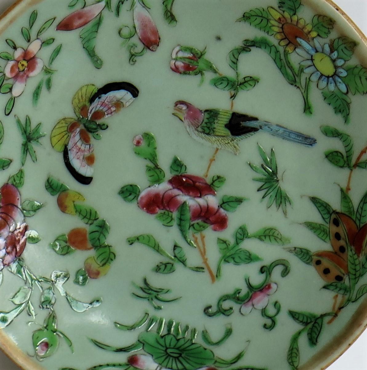 Pair of Chinese Plates Porcelain Celadon Glaze Famille Rose, Early 19th Century In Good Condition In Lincoln, Lincolnshire
