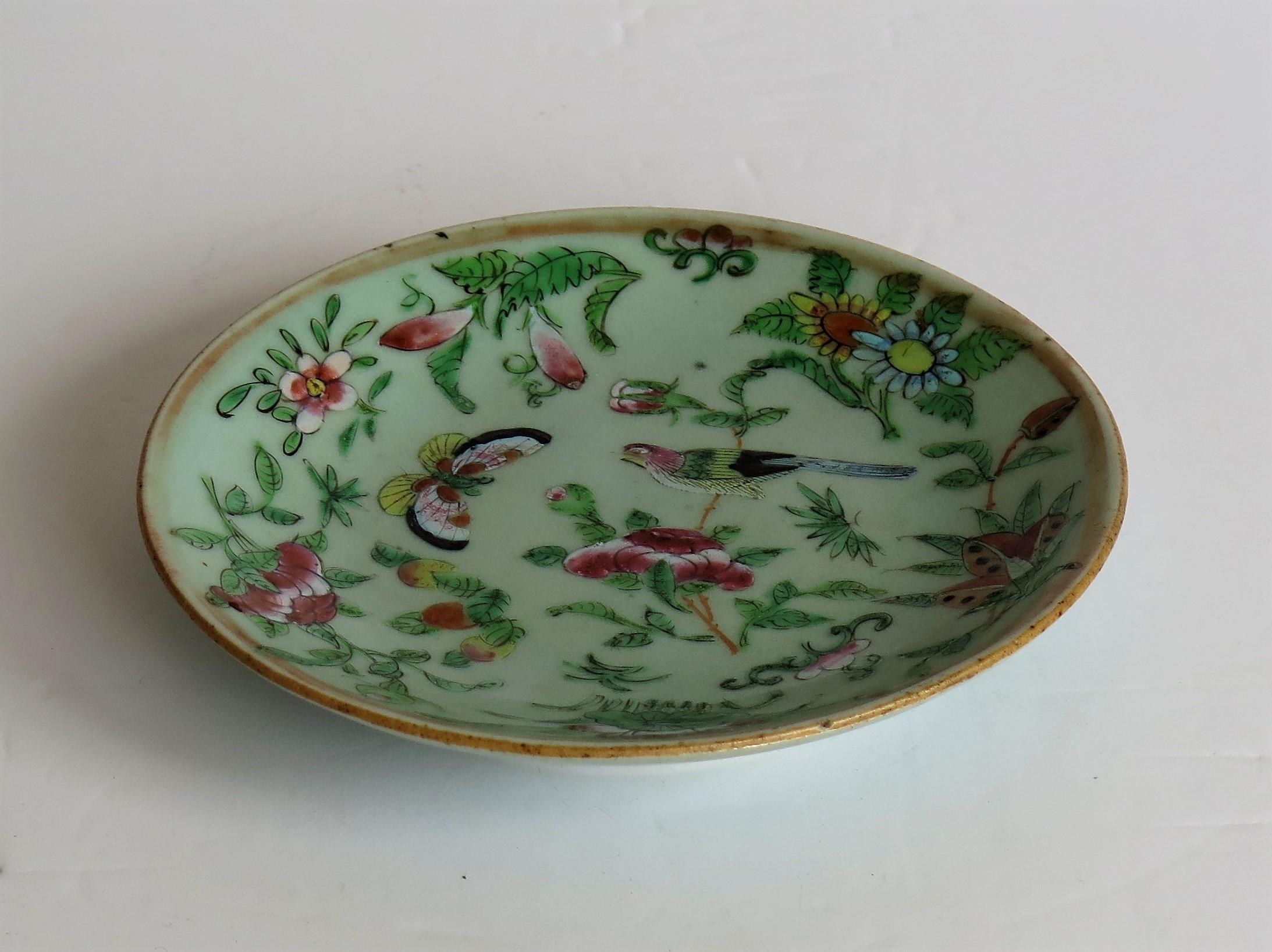 Pair of Chinese Plates Porcelain Celadon Glaze Famille Rose, Early 19th Century 1