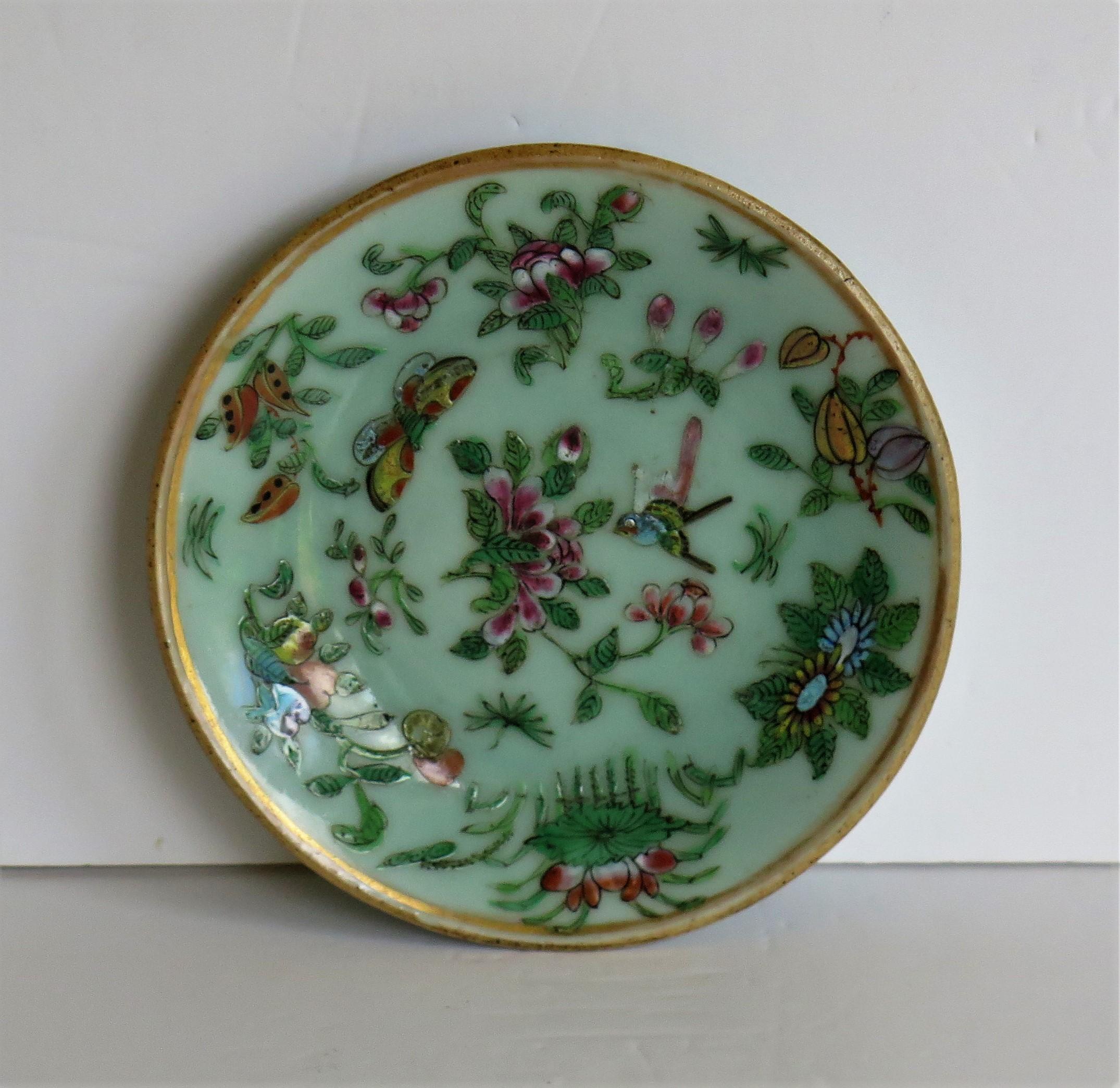 Pair of Chinese Plates Porcelain Celadon Glaze Famille Rose, Early 19th Century 3