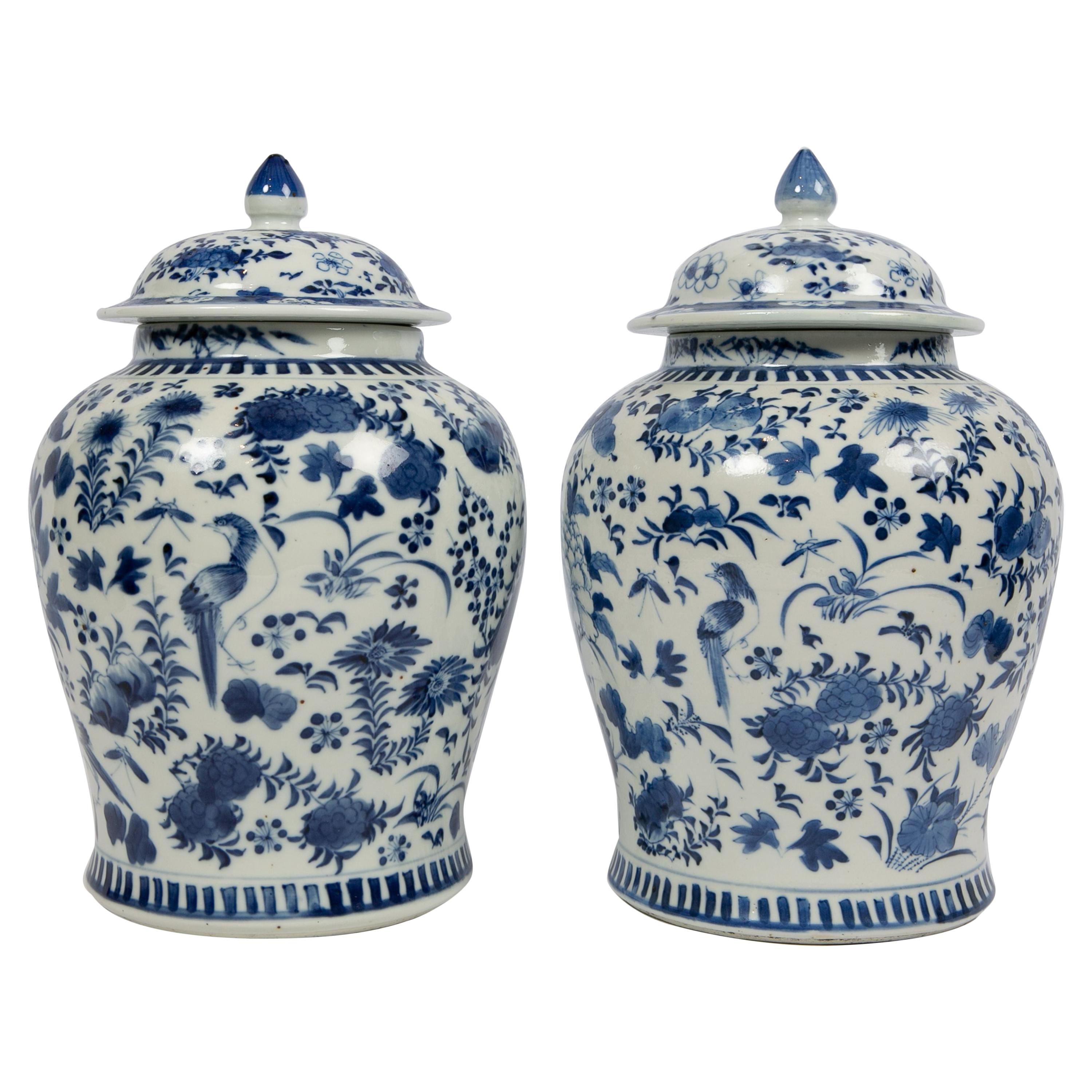 Pair of Chinese Porcelain Blue and White Covered Jars 19th Century Qing Dynasty